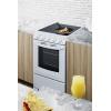 imageSummit 20 Electric Range with 4 cooking elements 23 cu Ft ADA Compliant White REX2051WRT