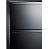 imageSummit CL2F249 Freezer Stainless SteelStainless Steel